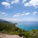 Discover the Nature